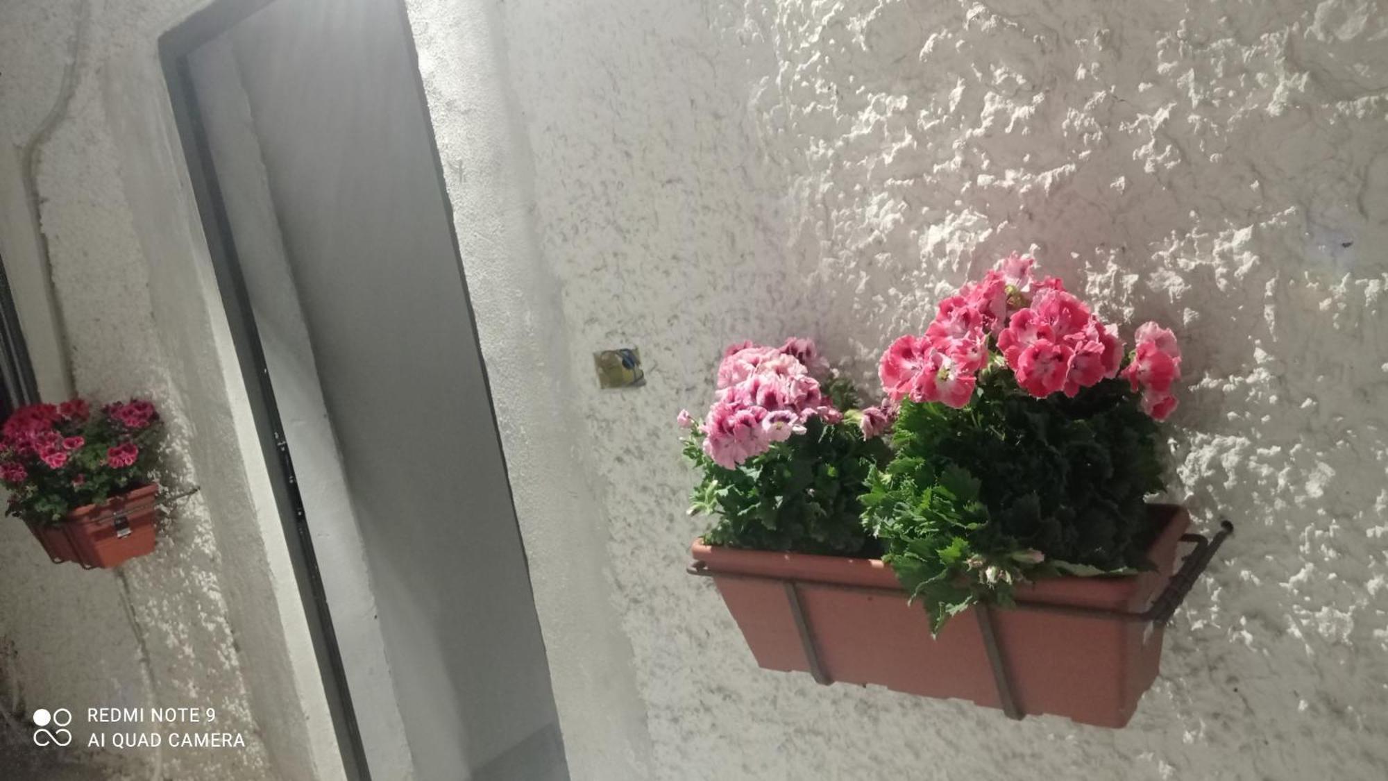 Ortensia C House Villa Catania Eksteriør bilde